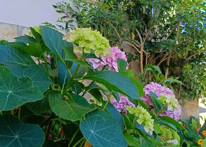 Wabi Sabi By Zara Guest house