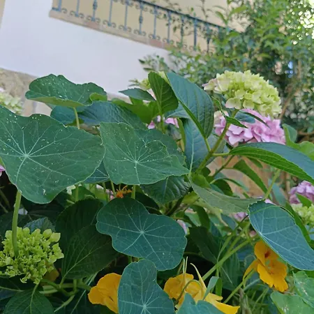 Wabi Sabi By Zara Konukevi