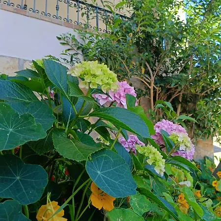 Wabi Sabi By Zara Konukevi