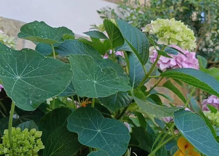 Wabi Sabi By Zara Pensjonat